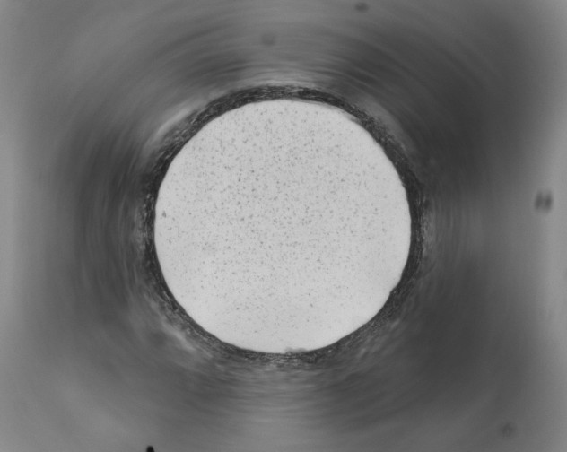 X0000112161064200909181442