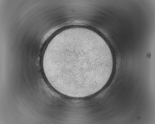 X0000112161066200909181442