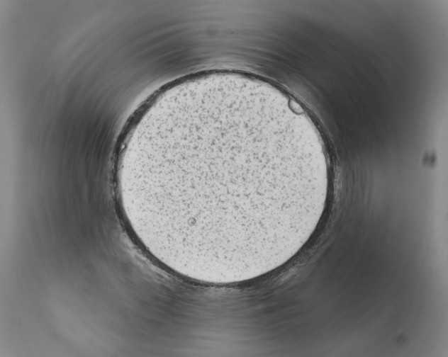 X0000112161068200909181442