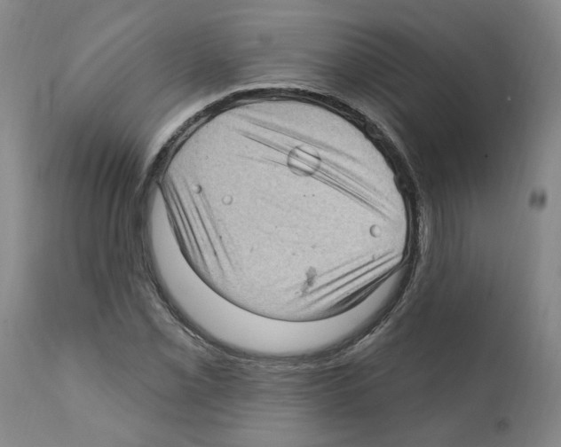 X0000112161069200909181442