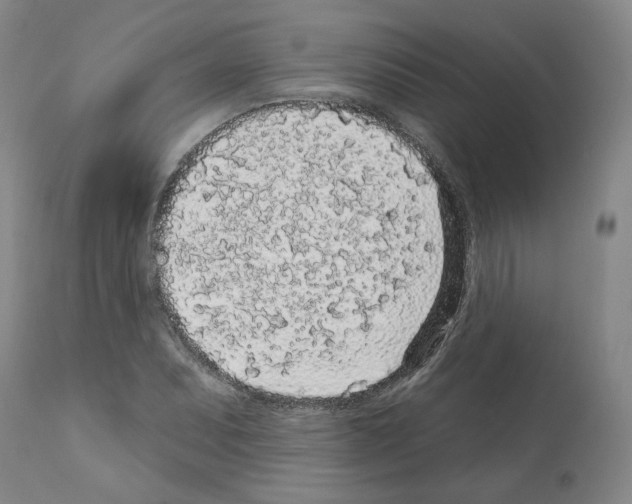X0000112161071200909181442