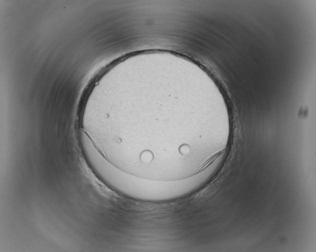 X0000112161072200909181442
