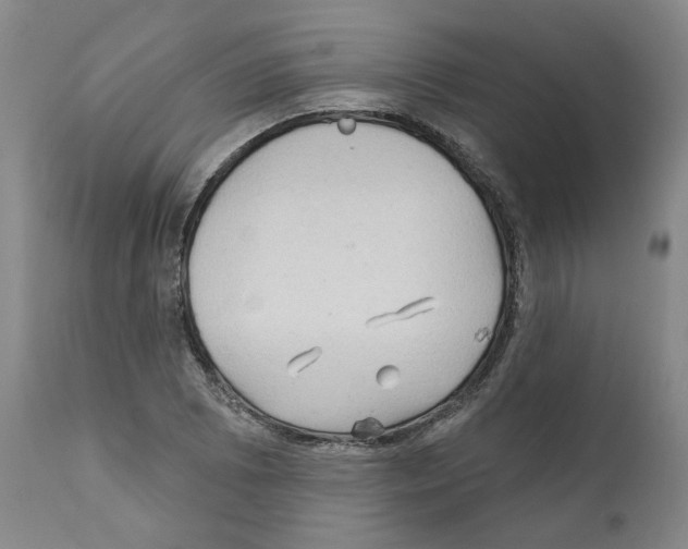X0000112161073200909181442