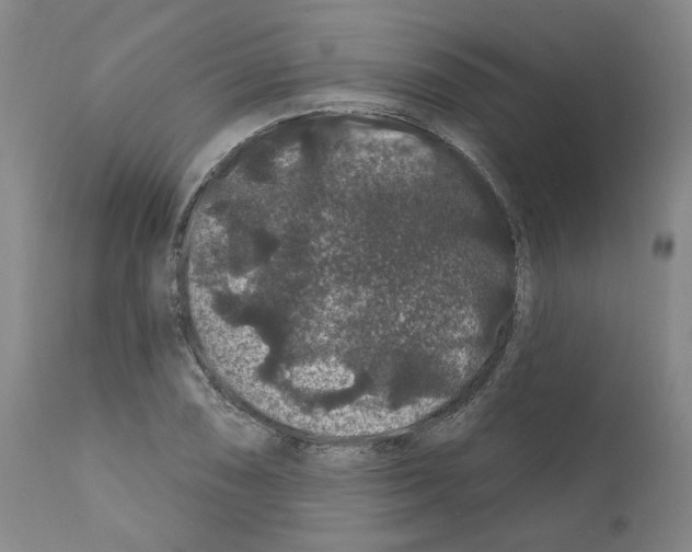 X0000112161074200909181442