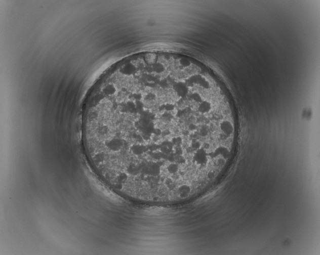 X0000112161075200909181442