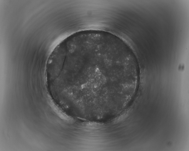 X0000112161077200909181442