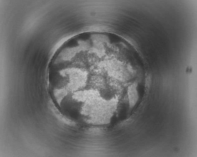 X0000112161078200909181442