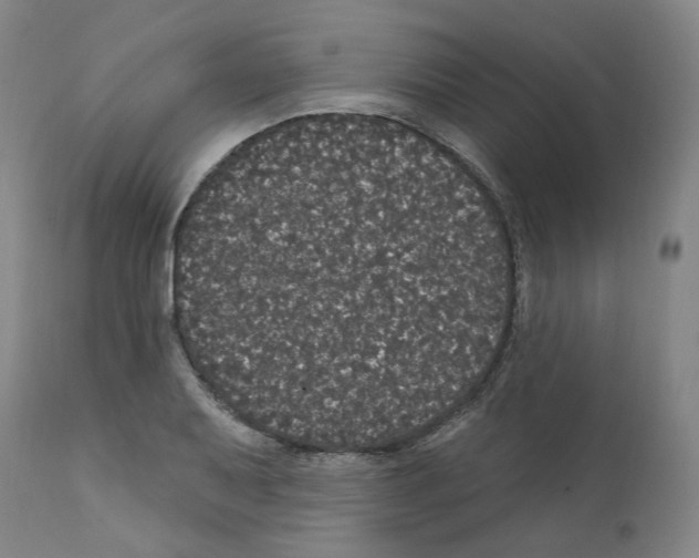 X0000112161079200909181442