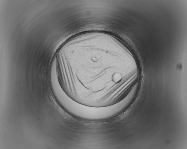 X0000112161081200909181442