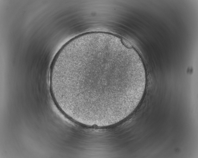 X0000112161084200909181442