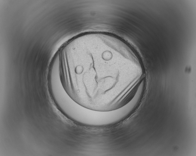 X0000112161085200909181442