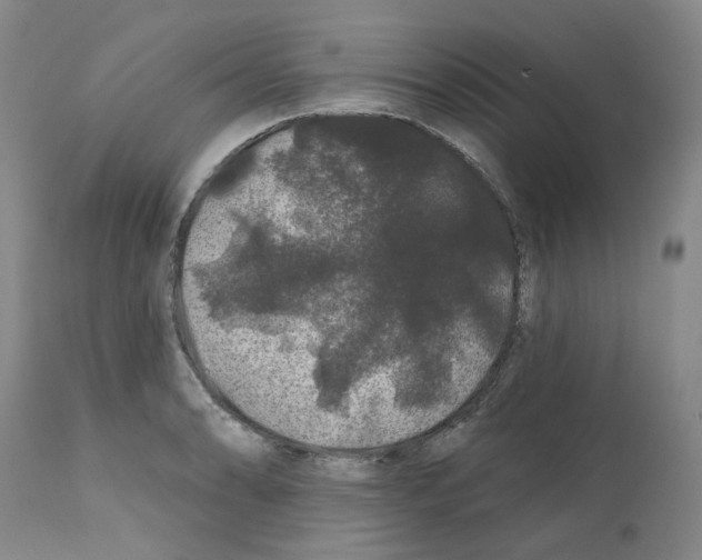 X0000112161086200909181442
