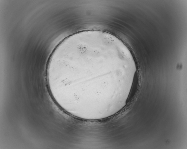 X0000112161087200909181442