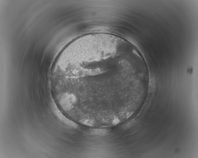 X0000112161090200909181442