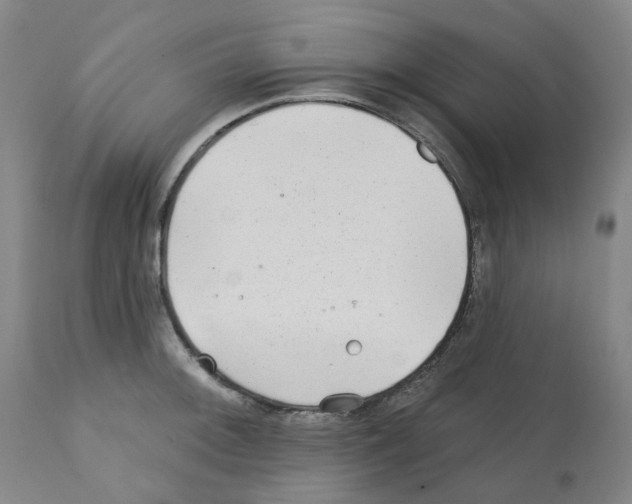 X0000112161092200909181442