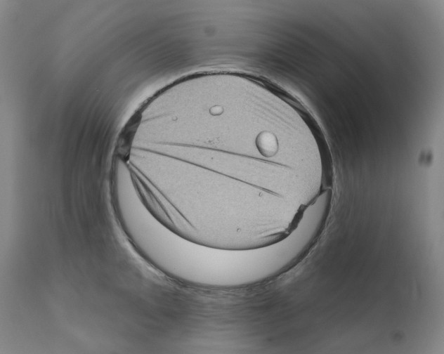X0000112161093200909181442