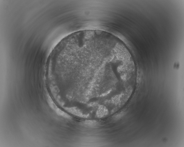 X0000112161094200909181442