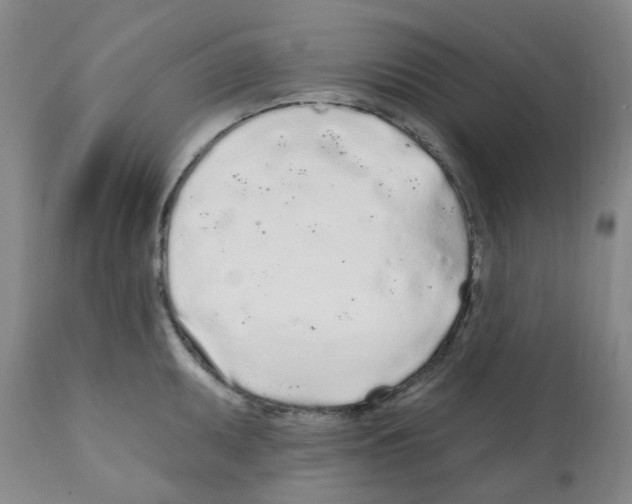 X0000112161095200909181442