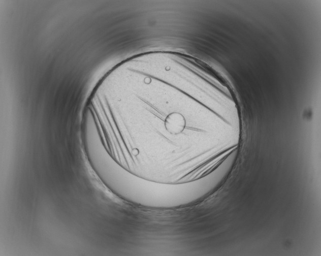 X0000112161096200909181441
