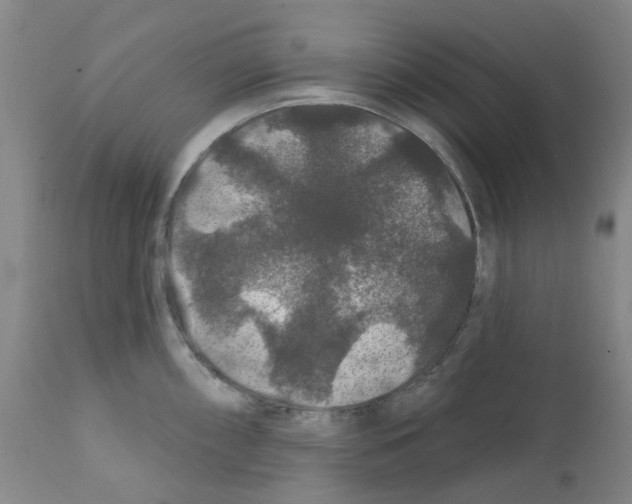 X0000112161098200909181441