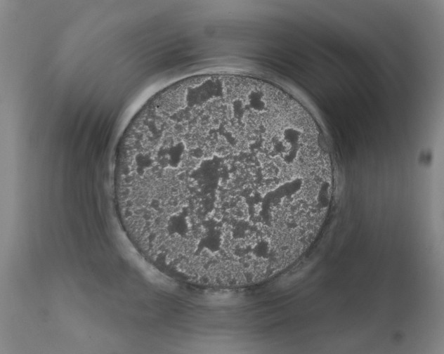 X0000112161099200909181441