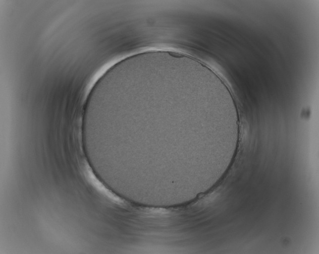 X0000112161100200909181441