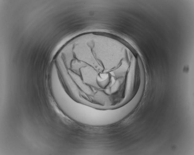 X0000112161101200909181441