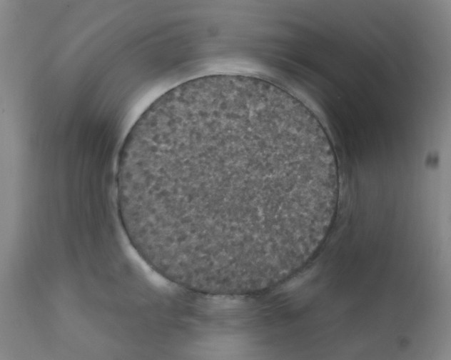 X0000112161103200909181441