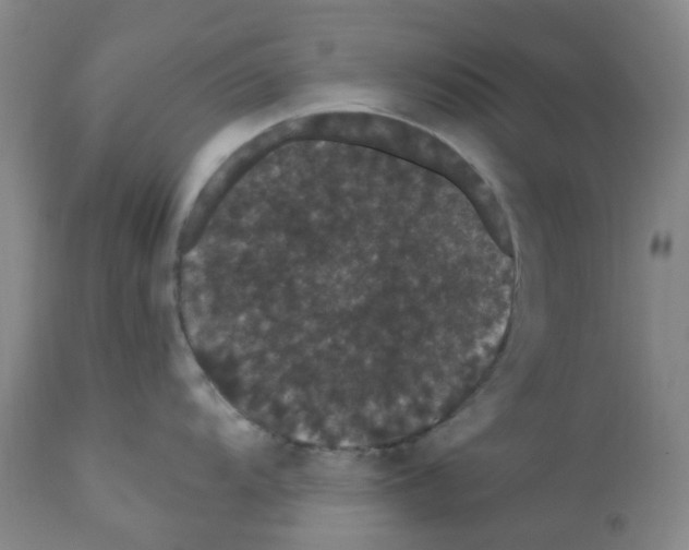 X0000112161104200909181441