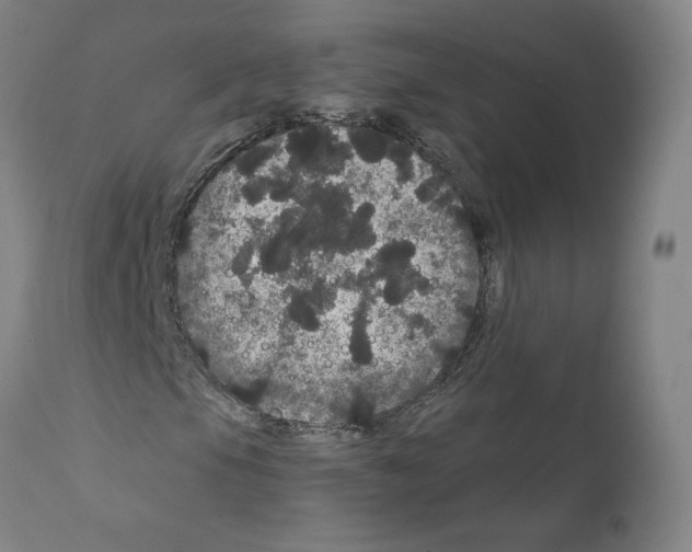 X0000112161105200909181441