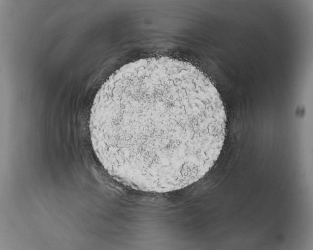 X0000112161106200909181441