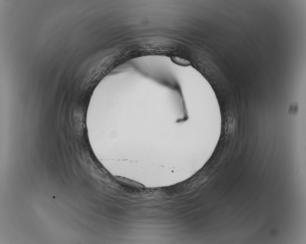 X0000112161108200909181441