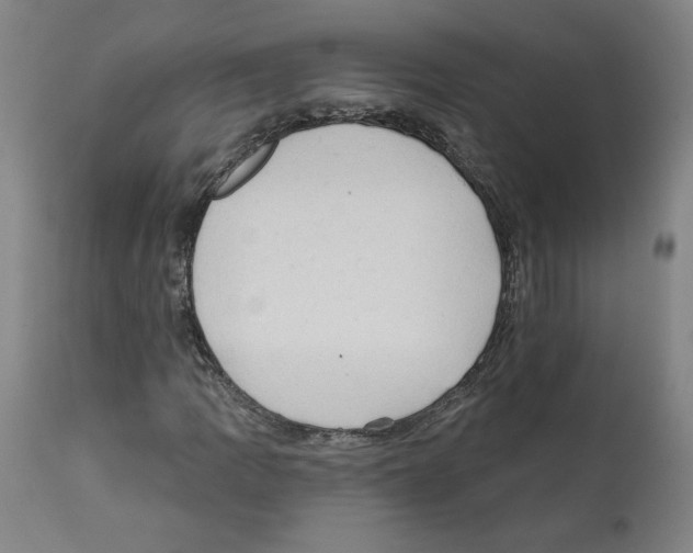 X0000112161109200909181441