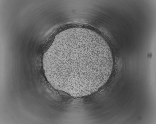 X0000112161110200909181441