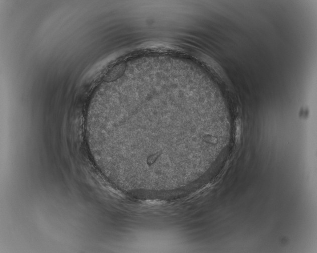 X0000112161111200909181441