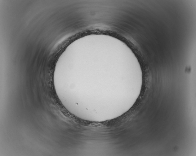 X0000112161112200909181441