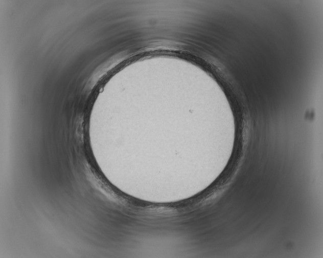 X0000112161113200909181441