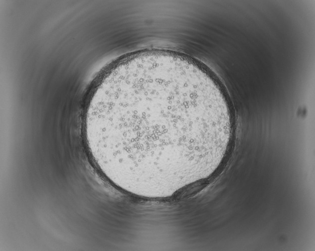 X0000112161115200909181441