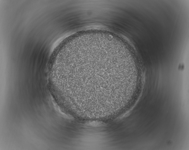 X0000112161117200909181441