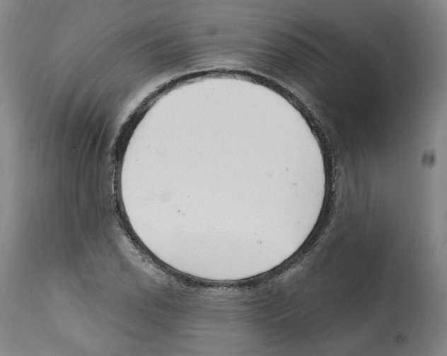 X0000112161118200909181441