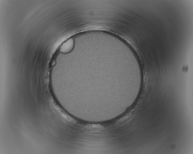 X0000112161119200909181441