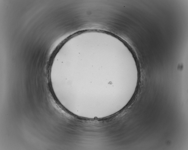 X0000112161120200909181441