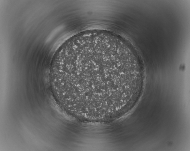 X0000112161121200909181441