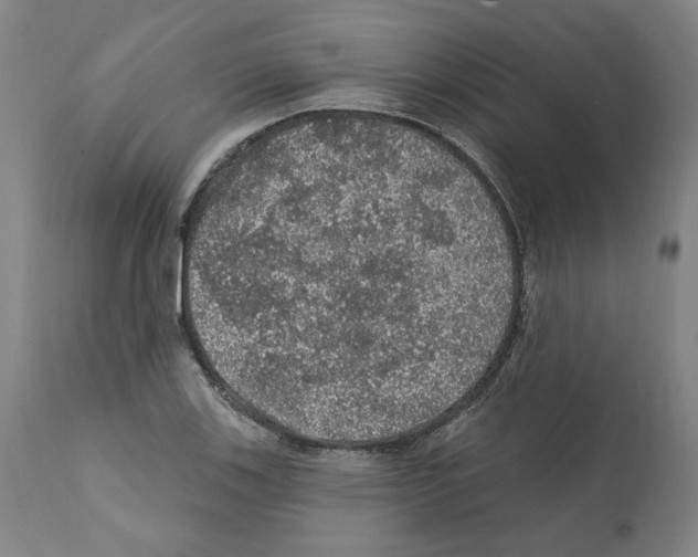 X0000112161123200909181441