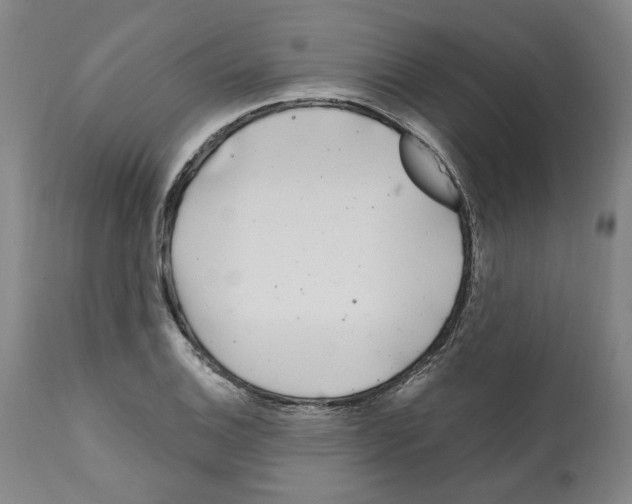 X0000112161124200909181441