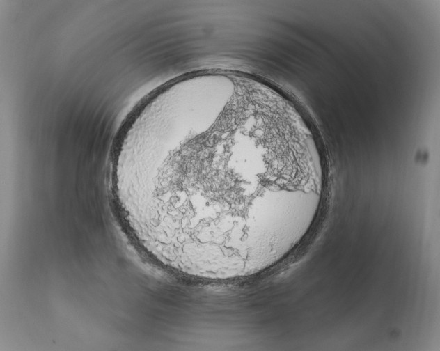 X0000112161125200909181441