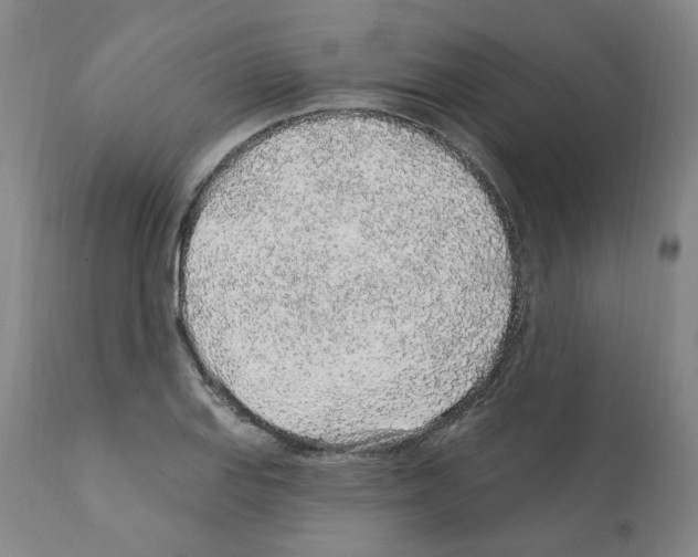 X0000112161127200909181441