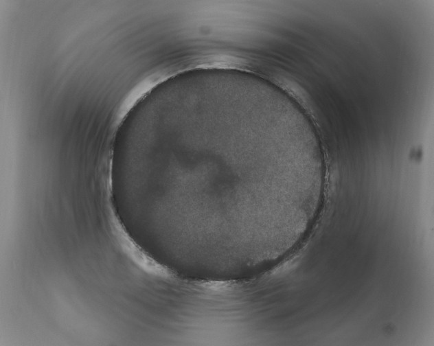 X0000112161130200909181441