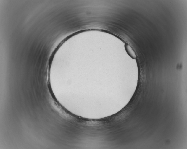 X0000112161132200909181441