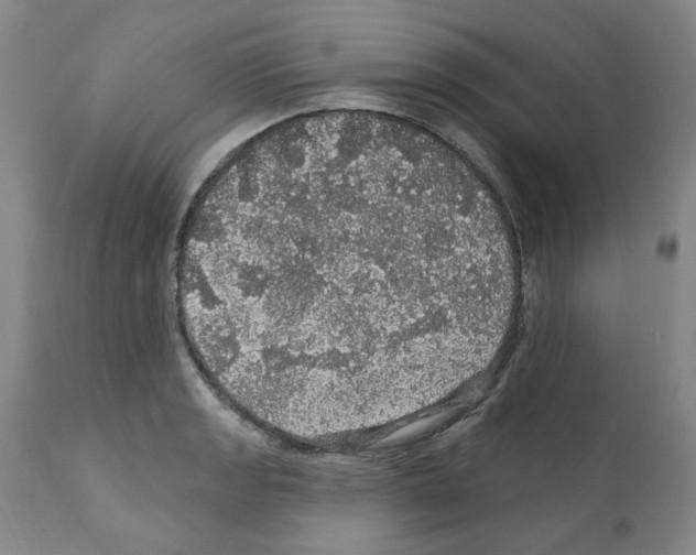 X0000112161133200909181441